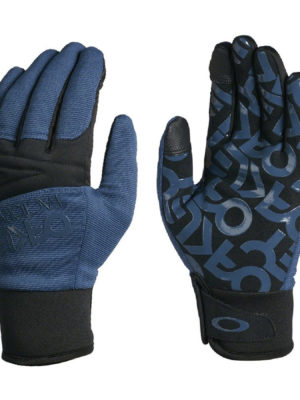 Oakley Factory Park Snow Gloves - Dark Blue